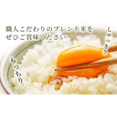 令和7年産新米【定期便6ヶ月】『甲佐の輝き』精米16kg【配送指定可】【ZL】