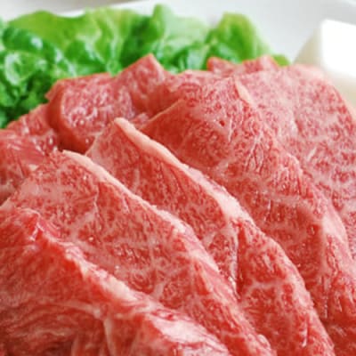 熊本県産GI認証　くまもとあか牛　焼肉用500g【価格改定】