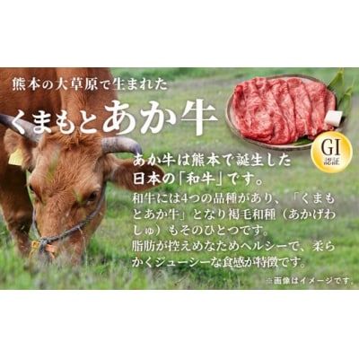 GI認証「くまもとあか牛・焼肉用1000g」あか牛