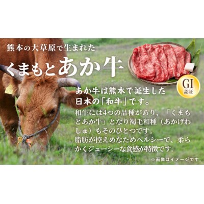 【特選焼肉用500g】くまもとあか牛〈GI認証〉【価格変更】