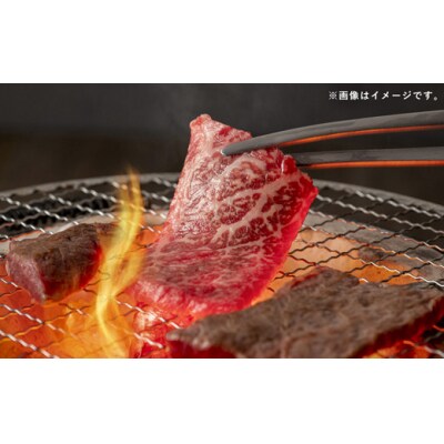 【特選焼肉用500g】くまもとあか牛〈GI認証〉【価格変更】