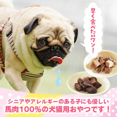 【定期便6回】馬肉100%犬猫用おやつ(25g×6袋)