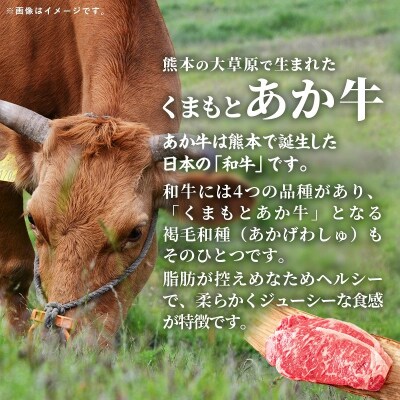 【定期便2回】GI 認証くまもとあか牛ロースステーキ約500g 