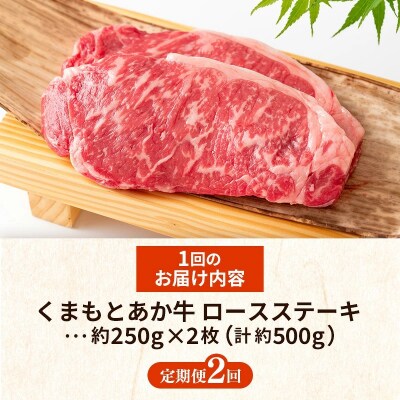 【定期便2回】GI 認証くまもとあか牛ロースステーキ約500g 