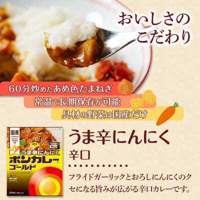 【定期便 全2回】ボンカレーゴールド うま辛にんにく(辛口) 30個×2回　計60個【CA214】