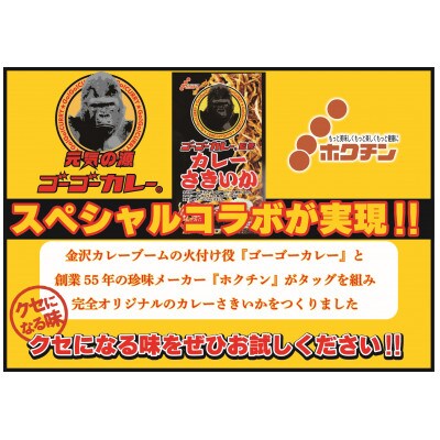 ゴーゴーカレーさきいか13袋セット