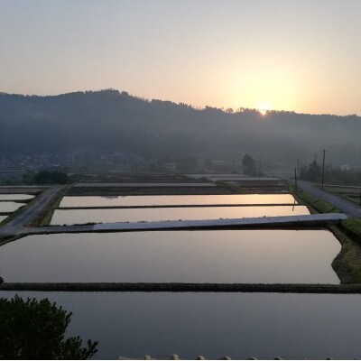令和6年産　特別栽培棚田米　”まっきゃま米”　石川県産こしひかり【白米】1袋