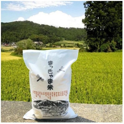 令和6年産　特別栽培棚田米　”まっきゃま米”　石川県産こしひかり【玄米】1袋