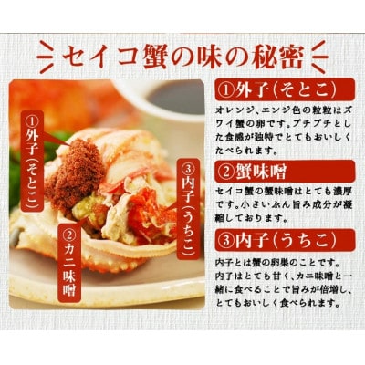 石川県産　せいこかに　5杯