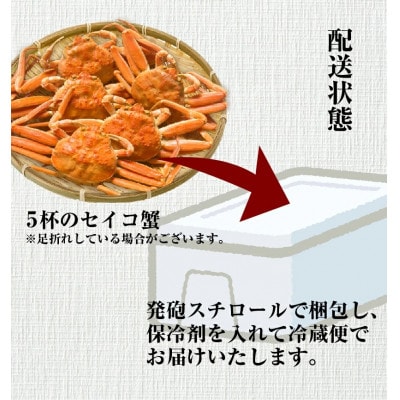 石川県産　せいこかに　5杯