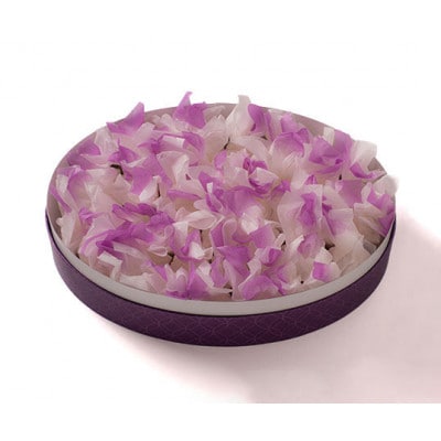 金沢 大和百貨店選定　うら田の愛香菓40個入