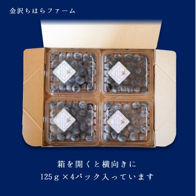 樹上完熟フレッシュブルーベリー (栽培期間中農薬・殺虫剤不使用) 125g×4