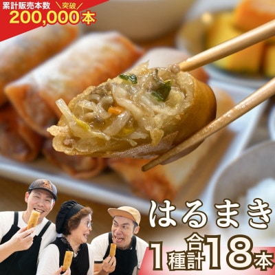リピーター続出!!金澤春巻き 「いつもの」　ギフトや惣菜・弁当・つまみにも◎