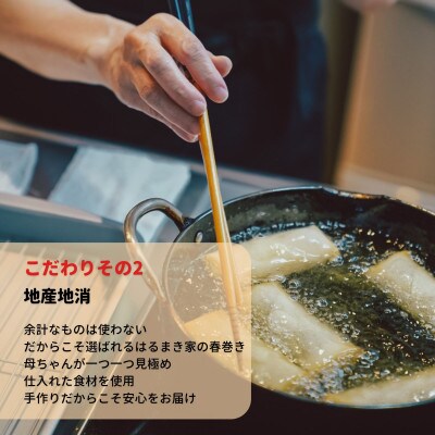 リピーター続出!!金澤春巻き 「いつもの」　ギフトや惣菜・弁当・つまみにも◎