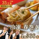 リピーター続出!!金澤春巻き 4種詰め合わせ(66本)　ギフトや惣菜・弁当・つまみにも◎