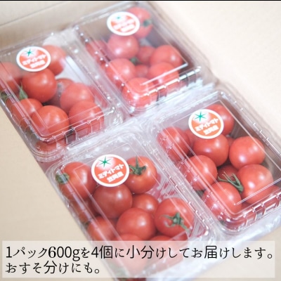 笠岡産ミディトマト2.4kg(数量限定)