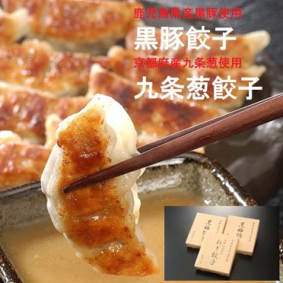 【芦屋 伊東屋の黒豚餃子2折・九条葱餃子1折セット】