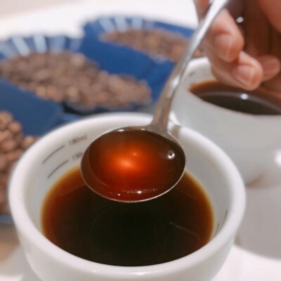 [7種飲み比べセット] 世界流通量上位5%のスペシャルティコーヒー【豆】