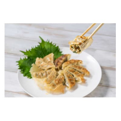 PEACEFUL GYOZA(ピースフルぎょうざ)ギフト2折セット