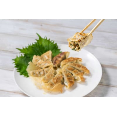 PEACEFUL GYOZA(ピースフルぎょうざ)ギフト3折セット