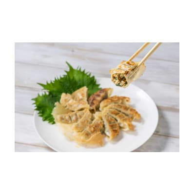 PEACEFUL GYOZA(ピースフルぎょうざ)10個入4パックセット　ヴィーガン/プラントベース