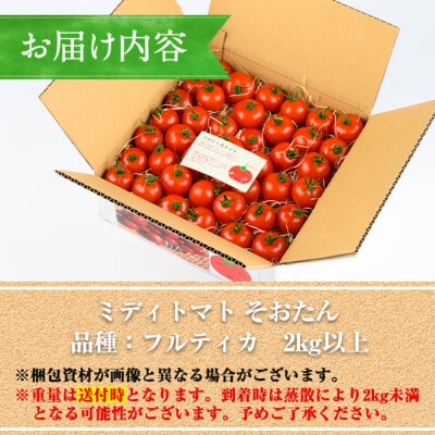 ミディトマト　そおたん