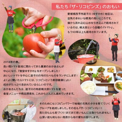 <トマト尽くし!リコピンズ自慢のよくばりセット>　ケチャップ　ドレッシング　ポン酢　城川　加工品
