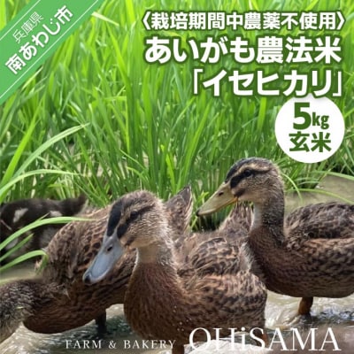 令和6年産　イセヒカリ　5kg　玄米〈栽培期間中農薬不使用　あいがも農法米〉