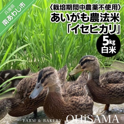 令和6年産　イセヒカリ　5kg　白米〈栽培期間中農薬不使用　あいがも農法米〉