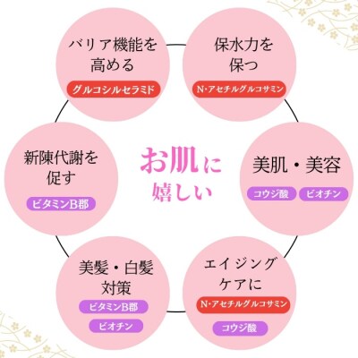 生甘酒 (170ml×24本) 20000円 甘酒 あまざけ パウチ 非加熱 愛南町青果市場
