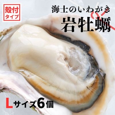 【ふるさと納税】のし付き お歳暮 海士のいわがき フルシェル Lサイズ6個 生食 牡蠣 冷凍 個包装