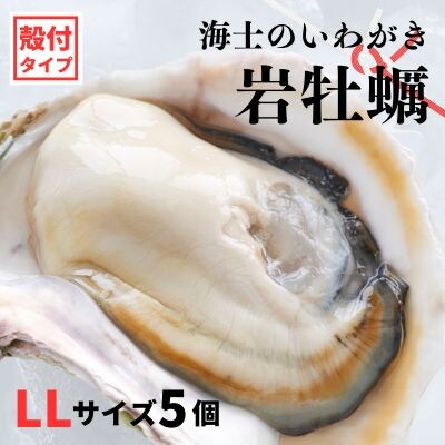 【のし付き】海士のいわがき 2kg〜2.5kg 巨大LLサイズ5個 岩牡蠣 牡蠣 かき CAS冷凍