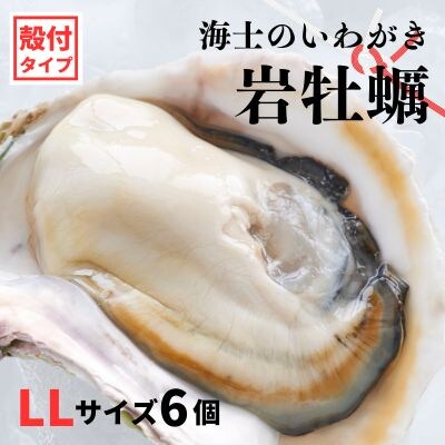 【のし付き】海士のいわがき 2.4kg〜3kg 巨大LLサイズ6個 岩牡蠣 牡蠣 かき CAS冷凍