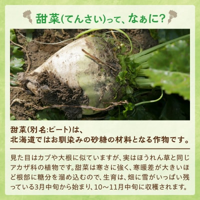 【6回定期便】北海道産てん菜100%使用!ホクレンのてんさい糖650g×5袋