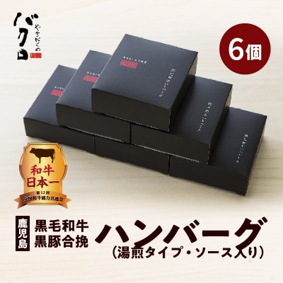 鹿児島黒毛和牛×鹿児島黒豚合挽ハンバーグ(湯煎タイプ・ソース入り)6個　K130-007