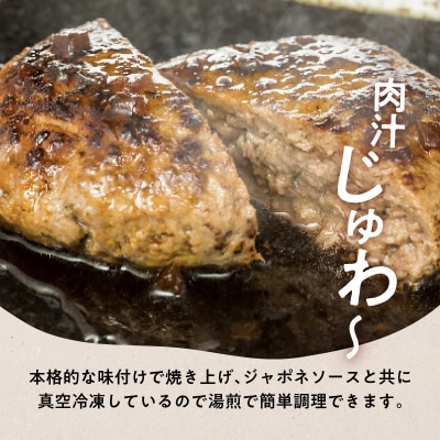 鹿児島黒毛和牛×鹿児島黒豚合挽ハンバーグ(湯煎タイプ・ソース入り)6個　K130-007
