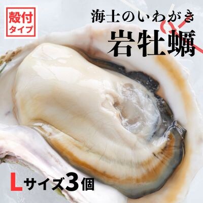 【ふるさと納税】のし付き お歳暮 海士のいわがき フルシェル Lサイズ3個 生食 牡蠣 冷凍 小分け