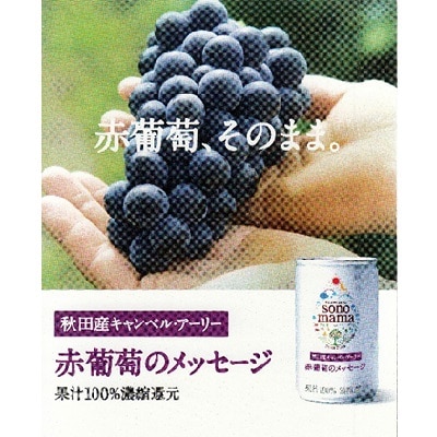 赤葡萄ジュース「sonomama」(160g×20本) [No.5325-0069]