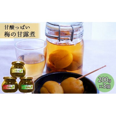 炭酸水・お酒に合う! 甘酸っぱい 梅の甘露煮3瓶セット [No.5325-0086]