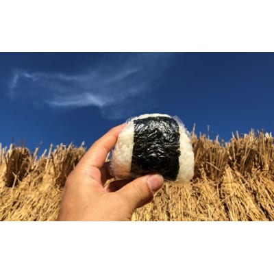 令和7年産 新米 お米の贈り物(無洗米300gパッケージ入り) [No.5325-0102]