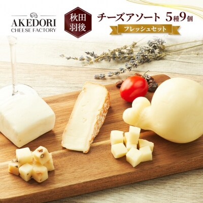 チーズアソート5種9個/フレッシュセット [No.5325-0074]