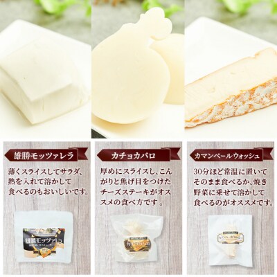 チーズアソート5種9個/フレッシュセット [No.5325-0074]