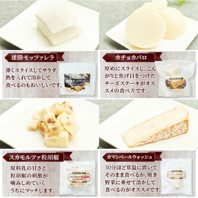 チーズアソート4種/定番セット [No.5325-0113] 