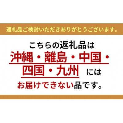 太陽の薪　12箱配送 [No.5325-0028]