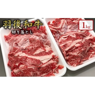 1kgのボリューム!　羽後和牛 切り落とし [No.5325-0037]