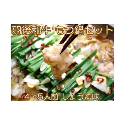 羽後和牛 もつ鍋セット 4～5人前 しょうゆ味 [No.5325-0180]