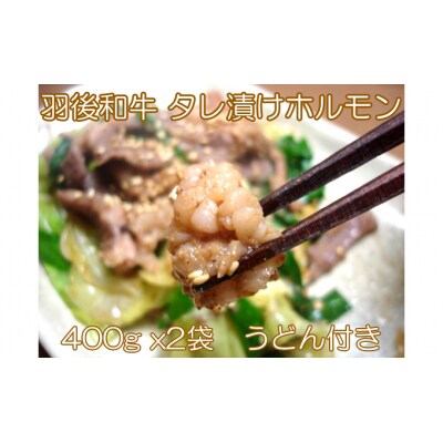 羽後和牛 タレ漬けホルモン うどん付き 400g×2個[No.5325-0179]