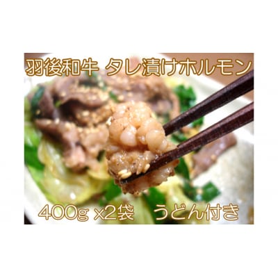 羽後和牛 タレ漬けホルモン うどん付き 400g×2個	[No.5325-0179]