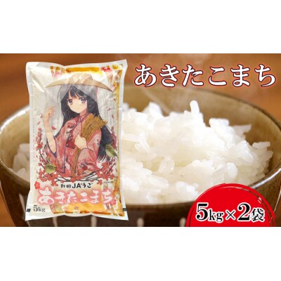 【令和7年産米】美少女イラスト あきたこまち 10kg(5kg×2袋) [No.5325-0192]