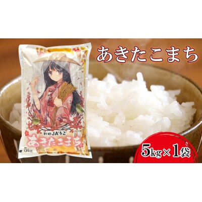 【令和7年産】美少女イラスト あきたこまち 5kg [No.5325-0195]